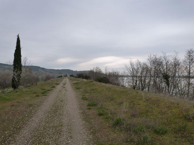 Sur les bords du rhône en amont de Avignon en 2013