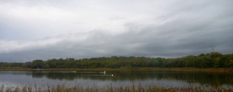 Marais de Faverges en Isère