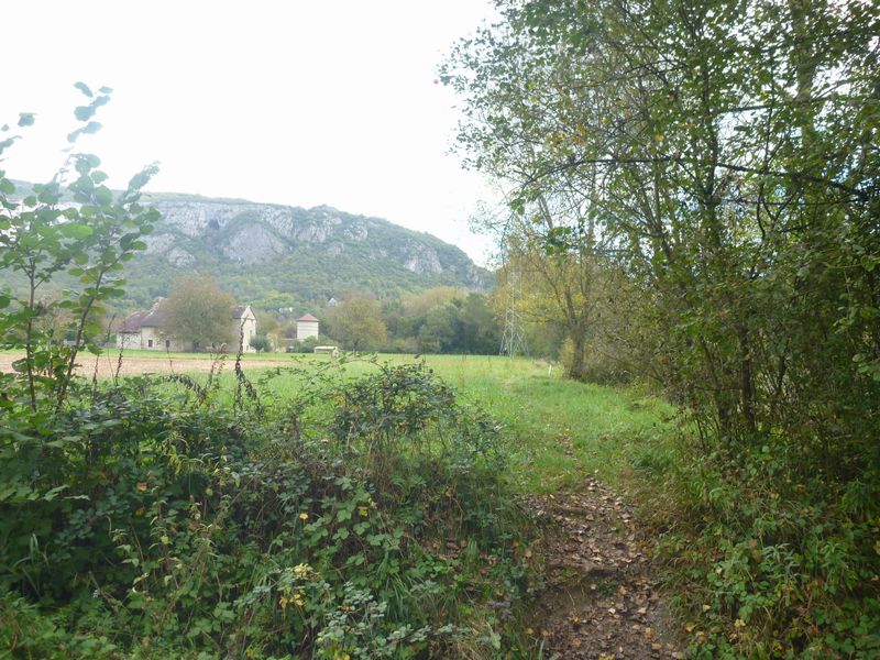 Virignin côté Rhône en 2014