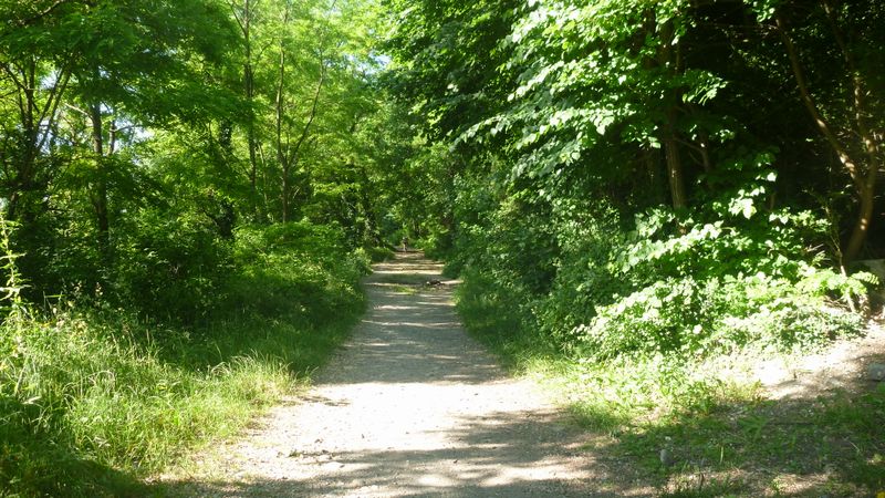 Chemin le long du Drac, attention, zone inondable ..