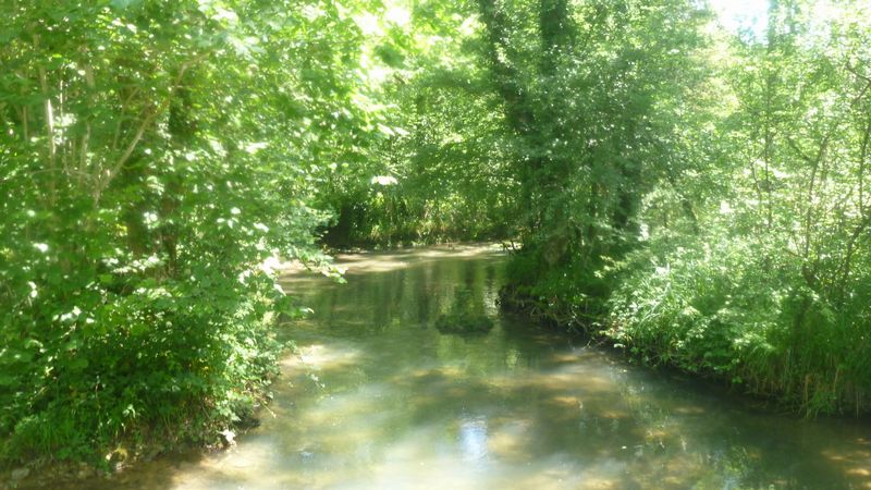 Photo-longer-seine-004-la-Seine-a-quelques-km-apres-la-source