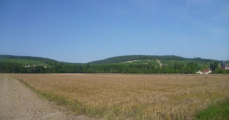 Photo-longer-seine-005-du-côté-de-Troyes