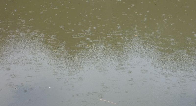 des-ronds-dans-l-eau