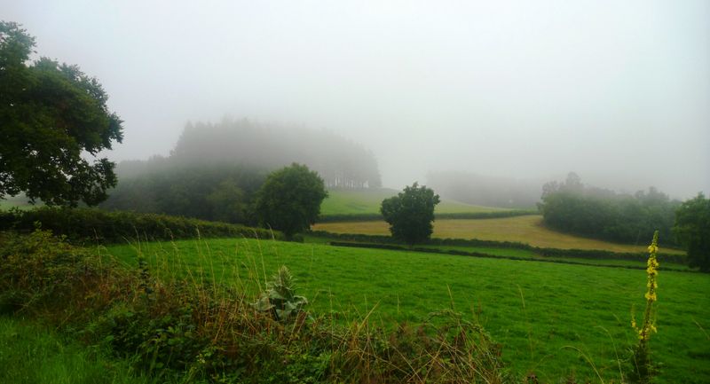 Balade-irlandaise-en-mâconnais-2014