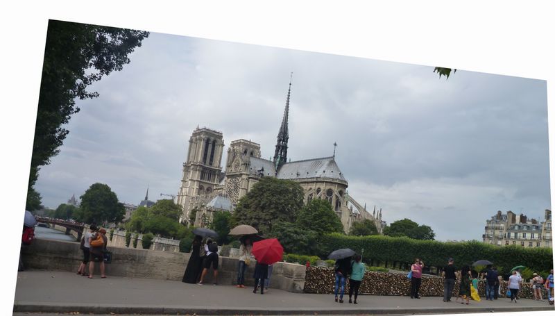 les-parapluies-de-Notre-dame-de-Paris