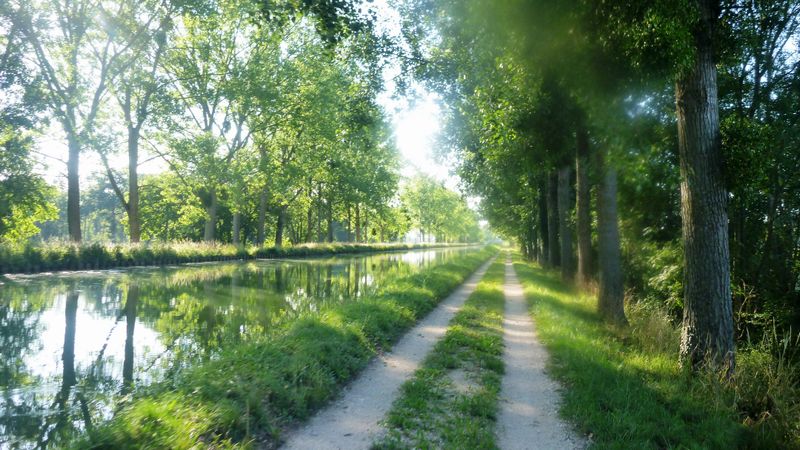 Photo-longer-seine-003-le-long-du-canal-bourgogne