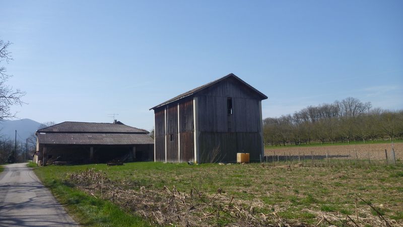 Séchoir à noix à saint lattier en nord isère en 2014