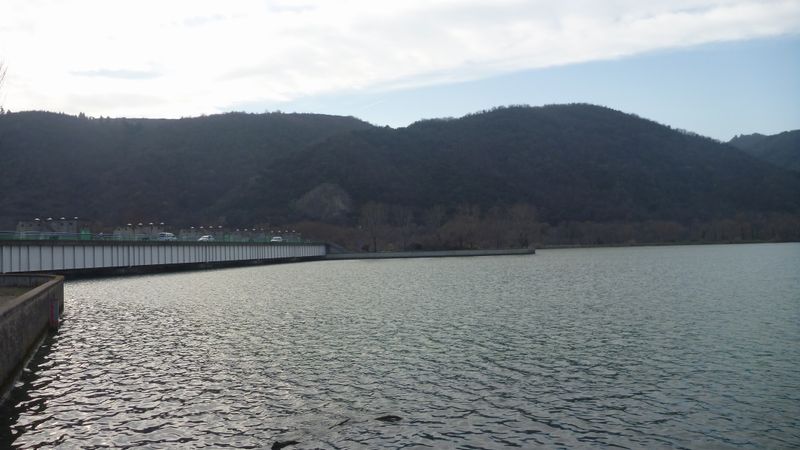 Barrage de Glun 2014