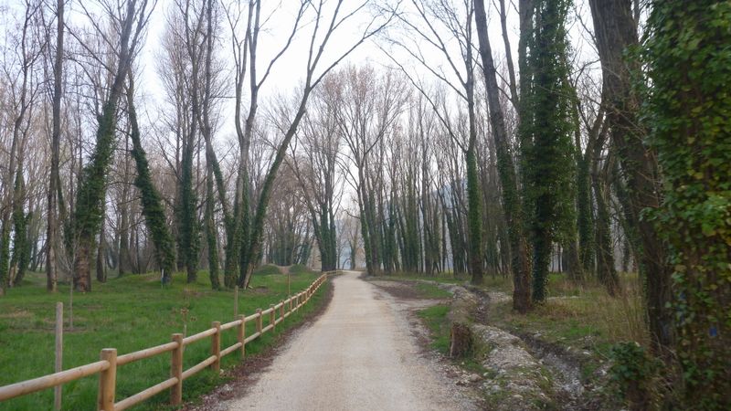 Roulement moyen sur la vélo-route dite Viarhôna le long du Rhône à Tournon en 2014