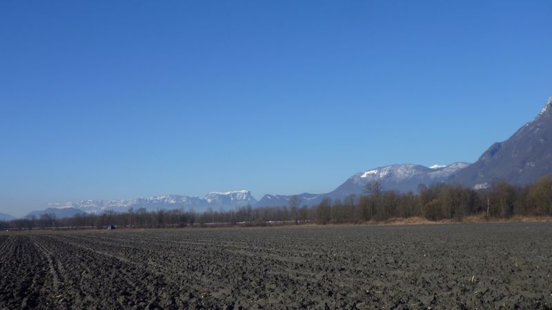 Terre argileuse de la combe de Savoie : la chartreuse dans le fond, les bauges à droite