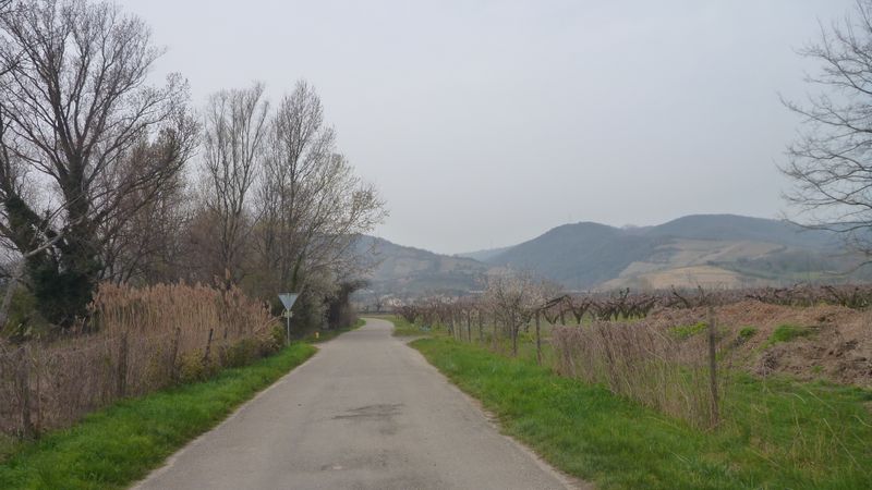 Maman j'ai raté viarhôna mais cette petite route parallèle à D 86 va très bien