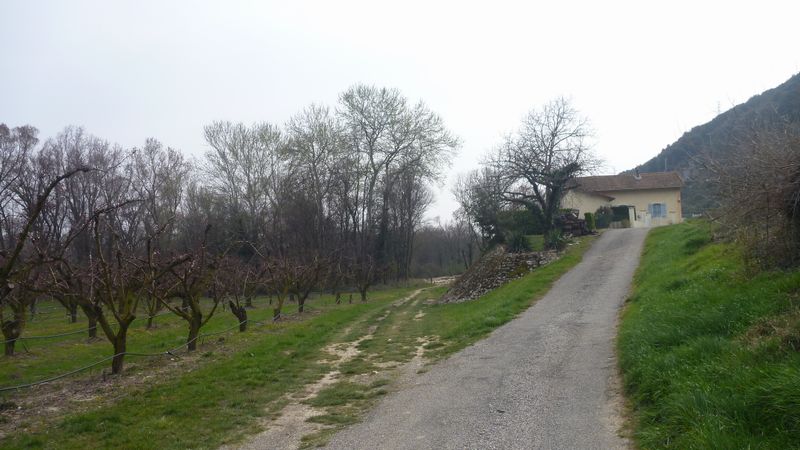 Viarhona 2014 : ce n'est Pas à droite : sempre dritto ..
