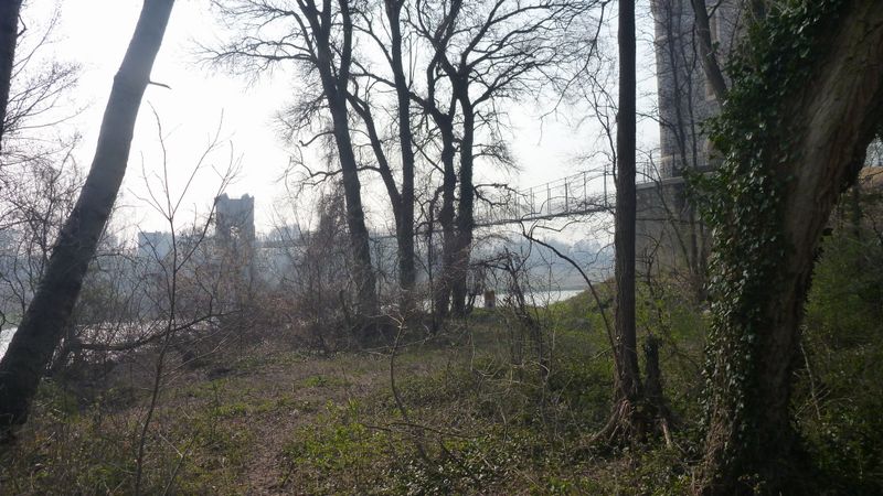 Passerelle de Rochemaure vue des fourrés en 2014