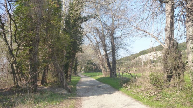 Entre Rhône en D 86 de Donzère à Bourg san Andéol 2014