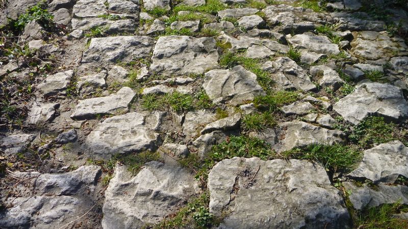 Encore des Pavés sur viarhôna
