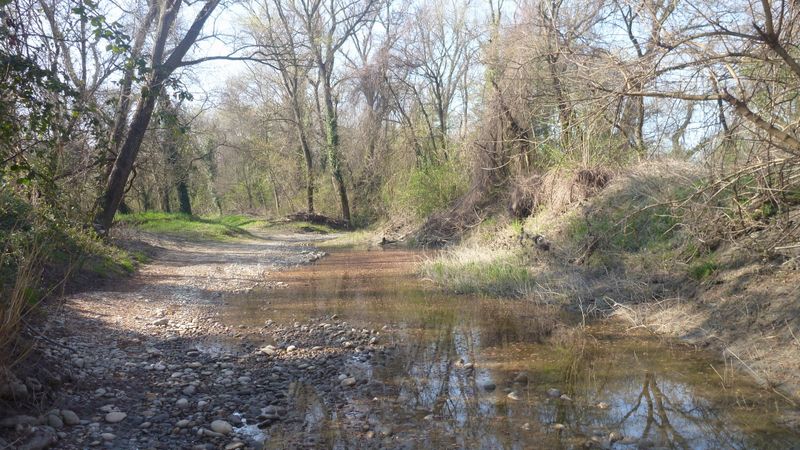 Le chemin longeant le rhône entre Viviers et bourg san Andéol en 2014