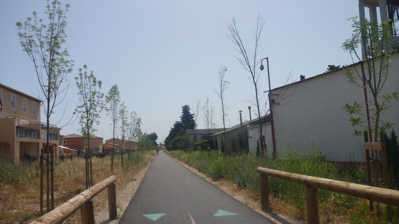 Sur la voie dite verte Véniassia du côté de Sarrians Monteux.