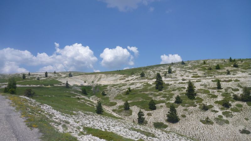 Les pentes sommitales de la montagne de Lure
