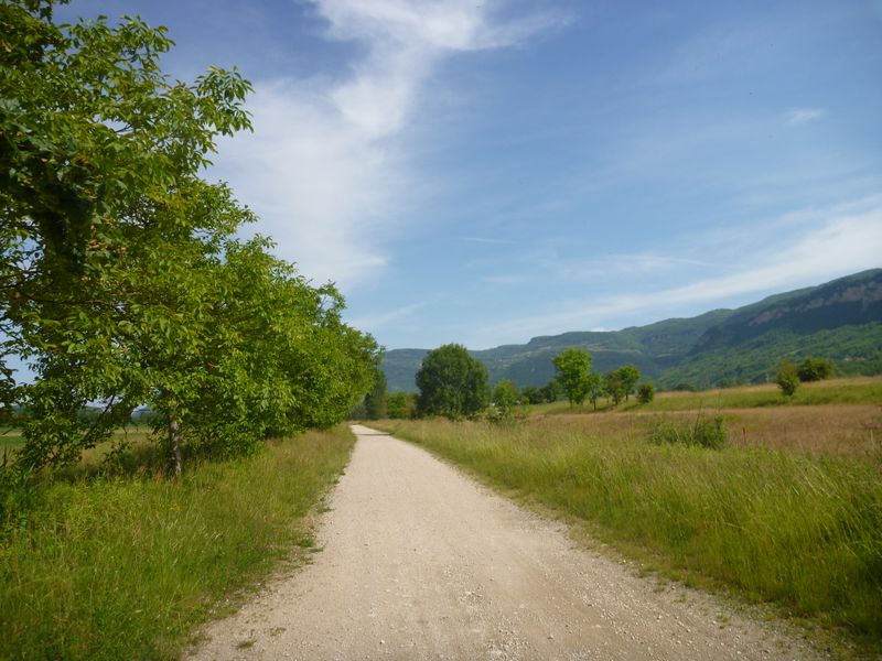Chemin de halage du Rhône entre Montalieu et Brenaz : piste de quad comme en 2014 ou Viarhôna ?