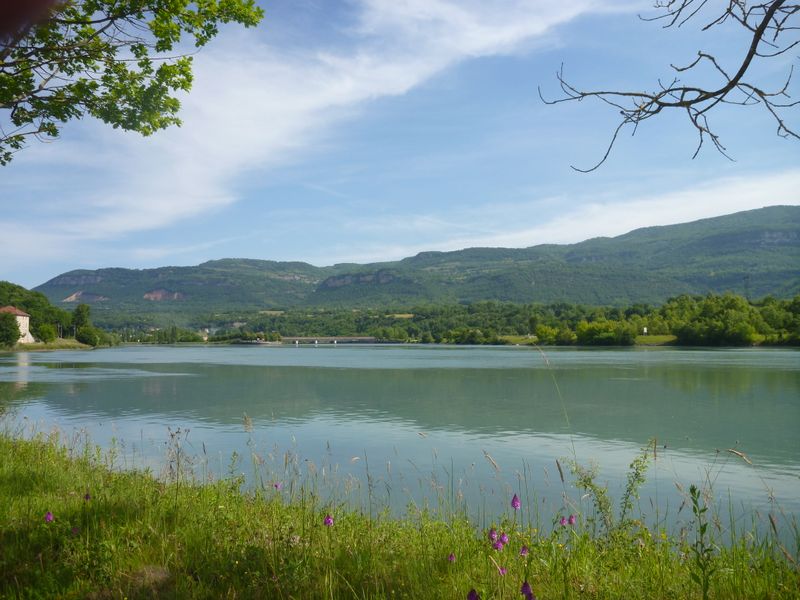 Le Rhône peu avant Saut Brenaz en 2014 , coule au pied des Monts du Bugey