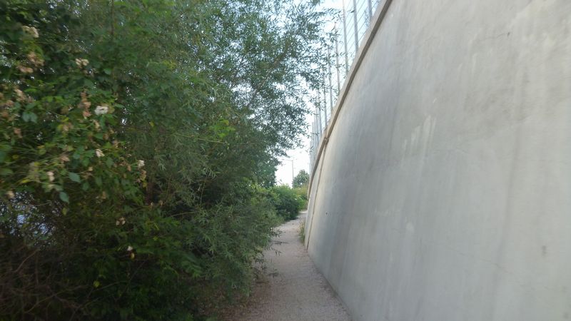 En taillant les arbres ca devrait passer à vélo : Lyon vers st Fons