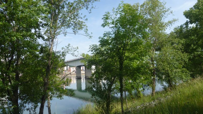 Sur le halage du canal de fuite du Rhône, à Chasse