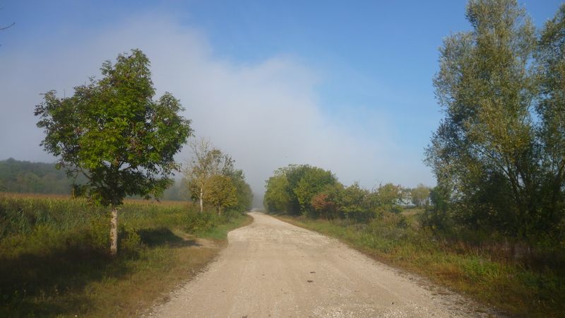 Chemin en contre bas du rhône entre Montalieu Vercieu et Brenaz en 2014