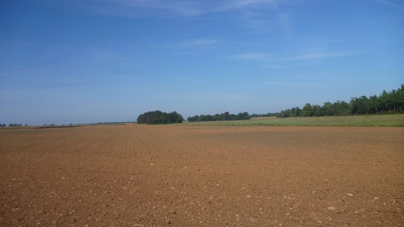 Plaine de l'ain en 2014