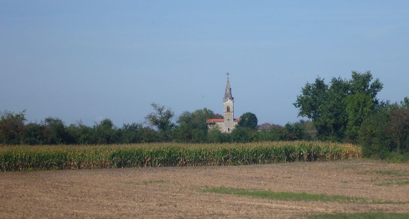 Pollet Ain