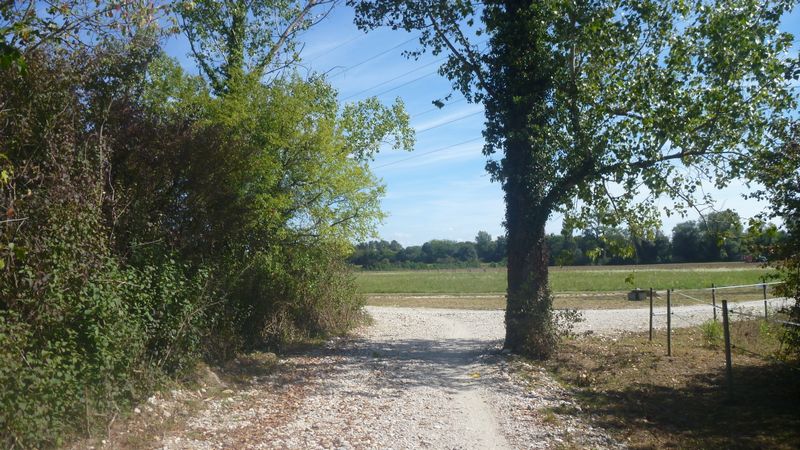 Grand parc : au niveau de la ferme des Allivoz
