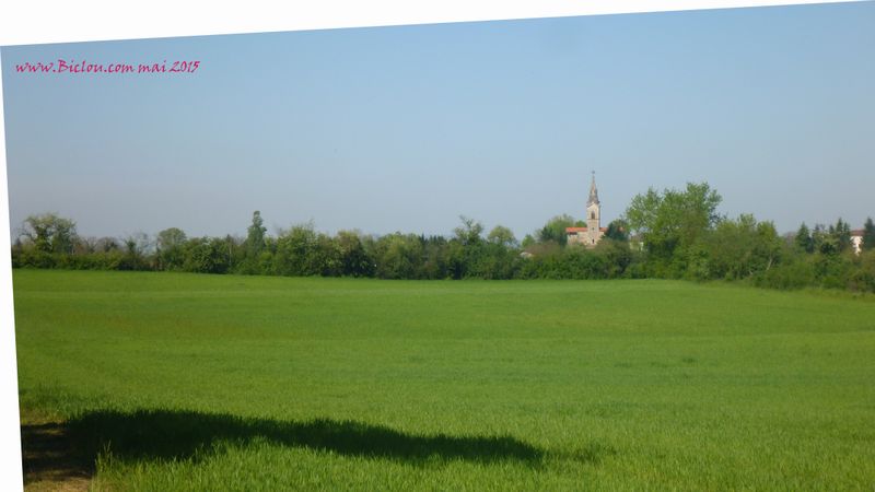 Pollet dans la plaine de l'ain vu en 2015