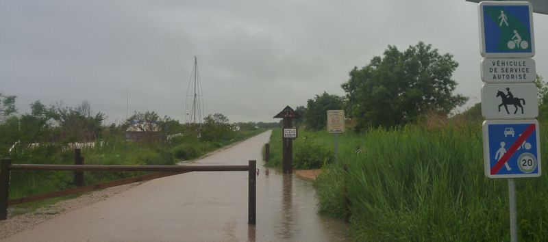 Que d'eau, sur la voie verte de Gallician à Aigues Mortes en mai 2015 ..