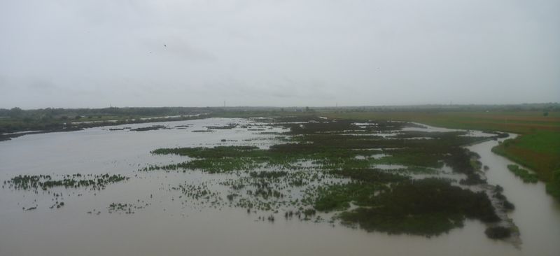 Vu sur les étangs de Camargue, du sommet de la Tour Carbonnière, en Avril 2015
