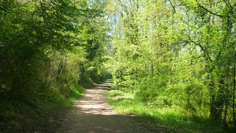 ViaRhôna le long du canal de Jonage en 2015