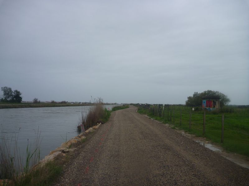 De Aigues Mortes au Grau du Roi avril 2015, sur ViaRhôna le long du canal ..