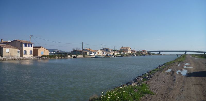 Le long du canal du Rhône à Sète en avril 2015 , le halage est boueux, mais roulable .. ici..