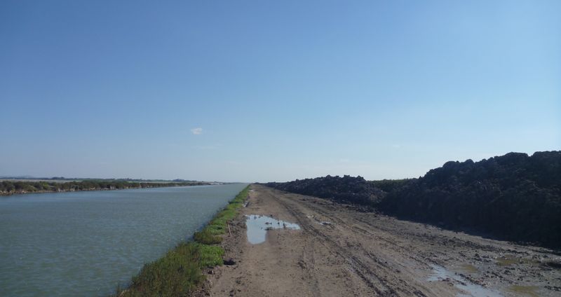 Ici, peu avant les cabanes à Carnon, le halage du canal de Rhône à Sète est impraticable, en avril 2015