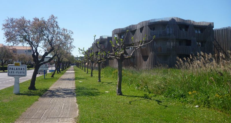 Logements branchés, vus à Palavas les flots en 2015