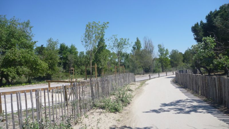 Piste cyclable sur le front de mer, entre Carnon et la Grande Motte, avril 2015