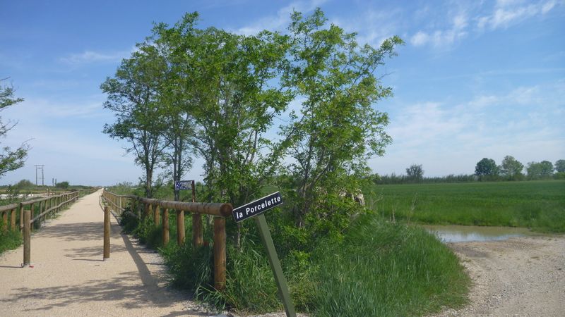 Sur ViaRhôna : La Porcelette : entre Port saint Louis et Arles