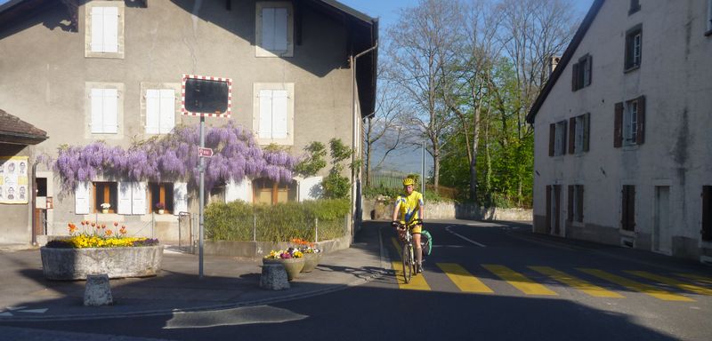 Gibert du code 74  sur ViaRhôna en suisse en 2015