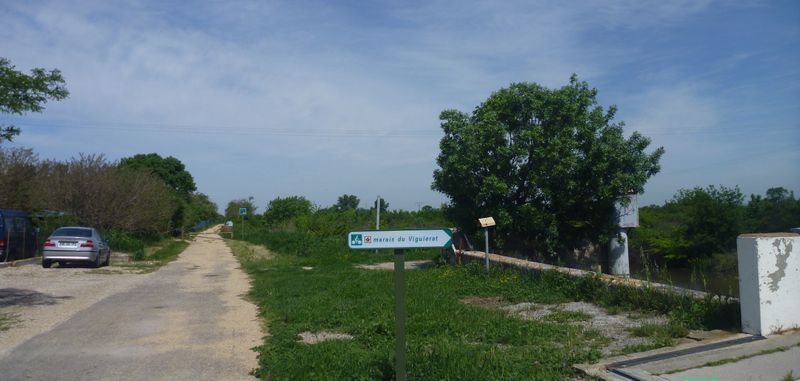 Voie dite verte ViaRhôna : Retour vers Arles en 2015