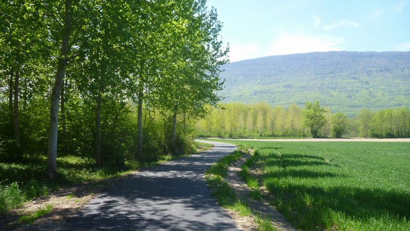 La Nouvelle voie verte : Véloroute de Chautagne, en 2015 entre Marty et le pont de la Loi