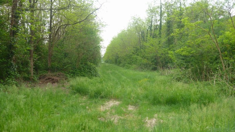 ViaRHôna devrait s'enfiler par ici, entre Baix et Cruas, vu en 2015