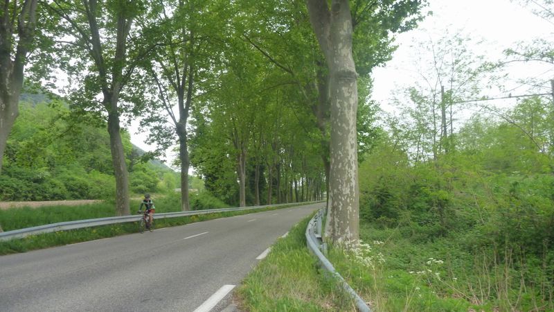 La Voici la fameuse D 86 entre Baix et Cruas en Ardèche en 2015, sur ViaRhôna : Déjà une limitation de vitesse ?