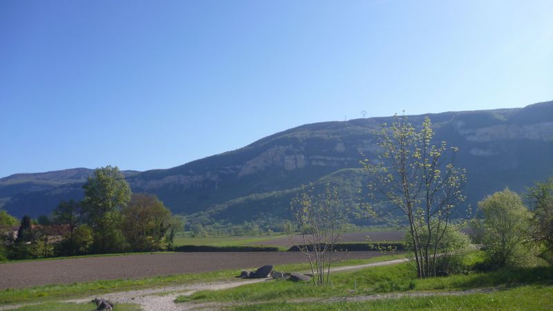 Entre Montalieu et Brenaz Viarhôna toujours pas asphaltée.. poil au Nez .. en mai 2015