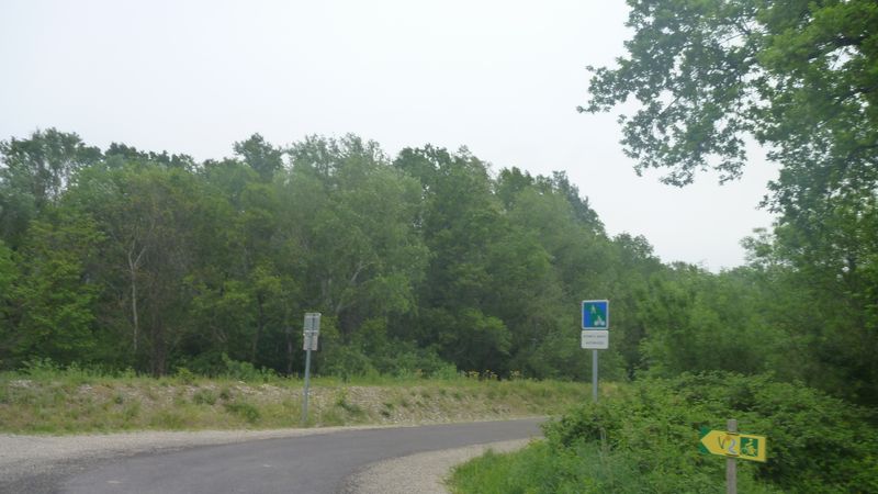 Ouf, sauvé sur la piste cyclable ViaRhôna , vers Cruas en 2015 : Billard, merci la centrale !