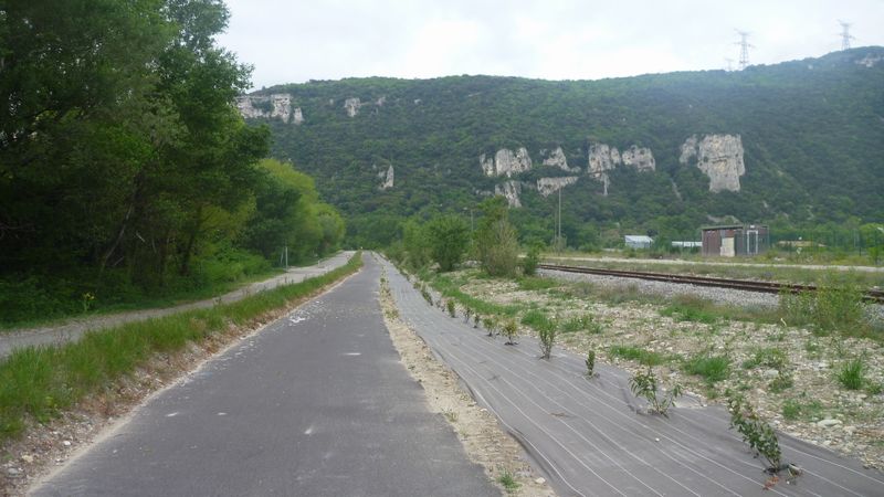 Centrale de Cruas passée, voici quelques arbustes plantés en 2015 et que claudio suivra