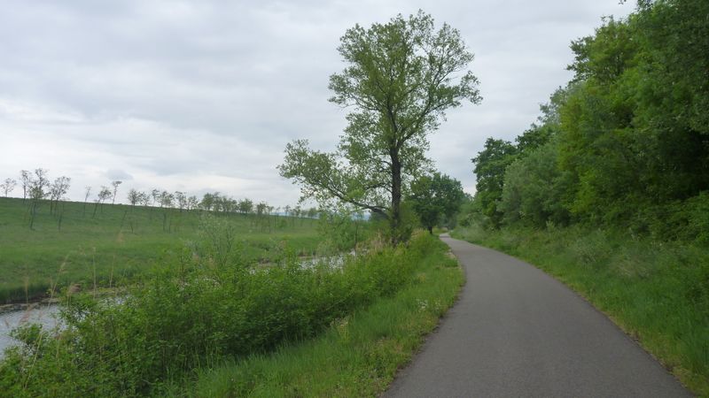 ViaRhôna : Le Long du contre canal du Rhône au niveau de Montélimar, zone calme