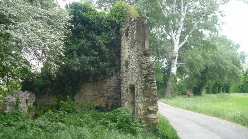 Entre Donzère et Viviers, il faut savoir que la crue maximale historique est montée a mi de ce mur
